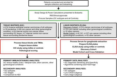 GD2 and GD3 gangliosides as diagnostic biomarkers for all stages and subtypes of epithelial ovarian cancer